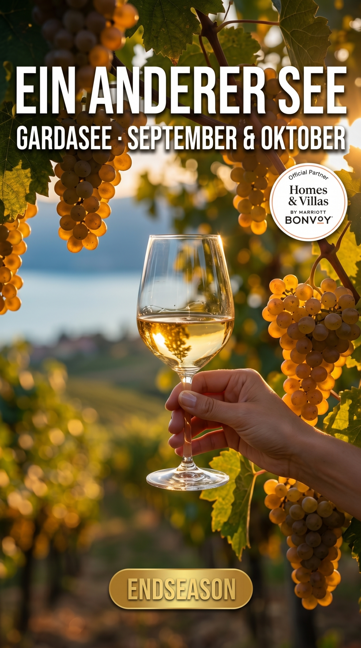 Weinlese am Gardasee, Glas Weisswein im goldenen Herbstlicht