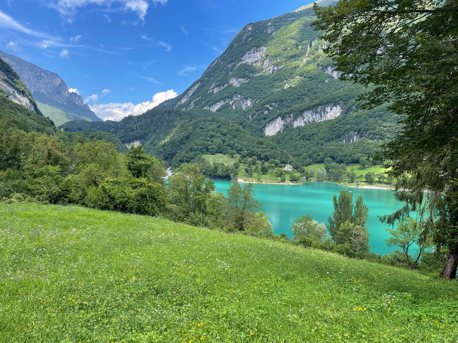 Lake Tenno with turquoise water, flowering meadow and the Trentino mountains